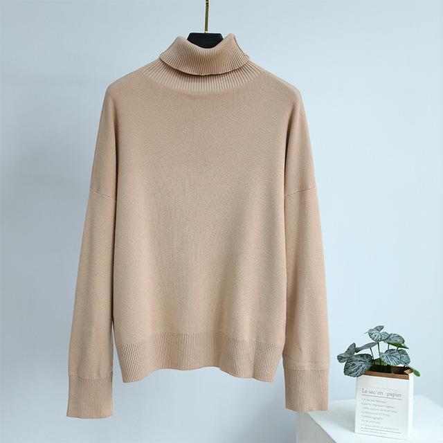 Solid Color Turtleneck Sweater