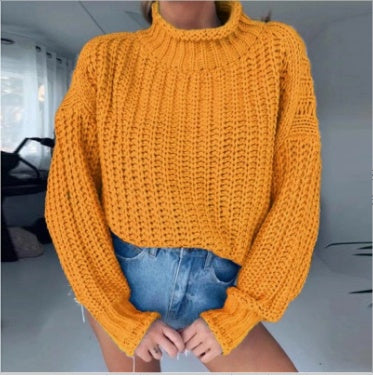 Women's Solid Color Sexy Hollow Cropped Casual Sweater