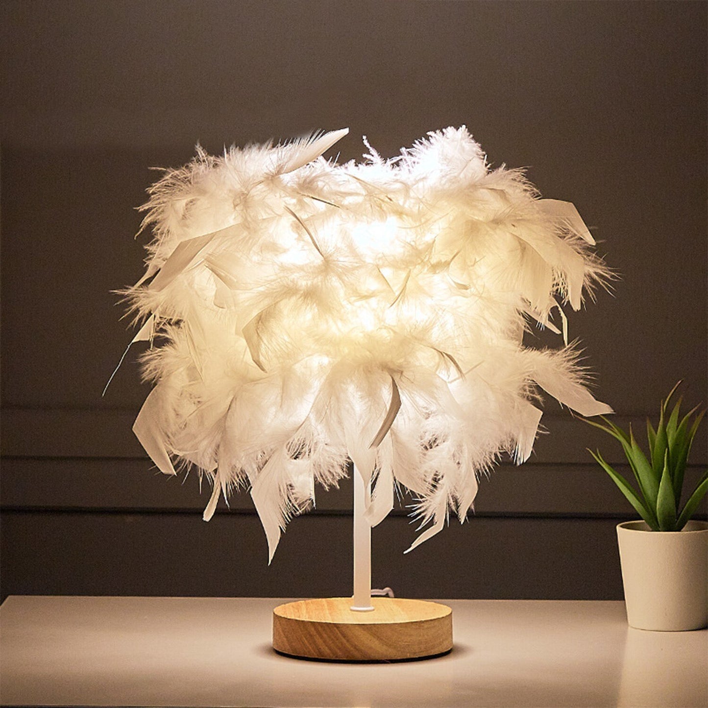 Feather lamp