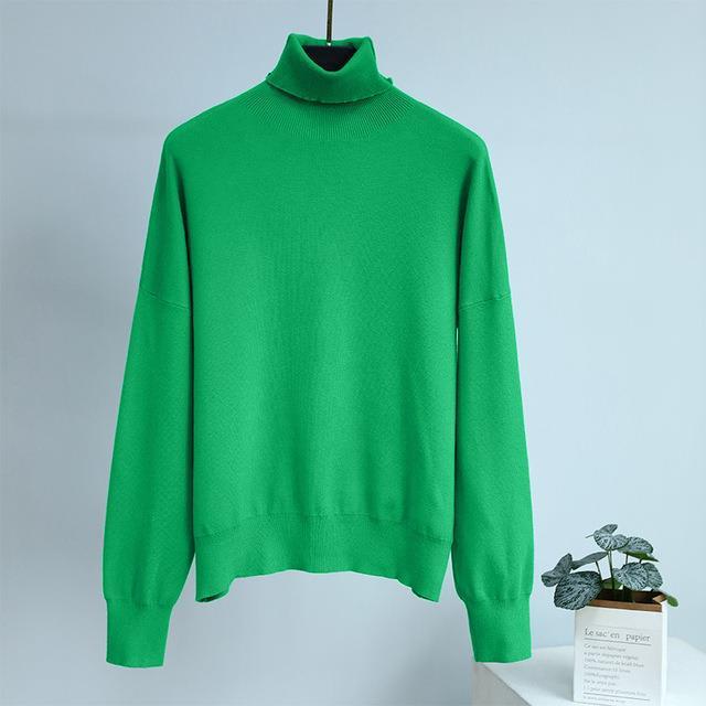 Solid Color Turtleneck Sweater