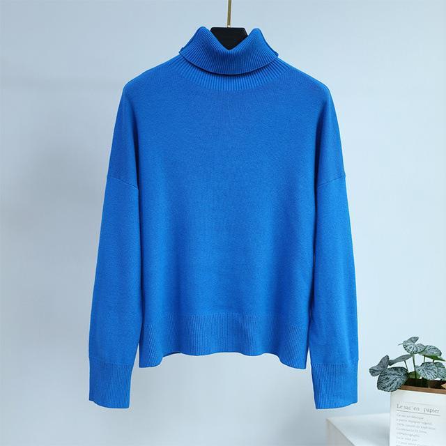 Solid Color Turtleneck Sweater